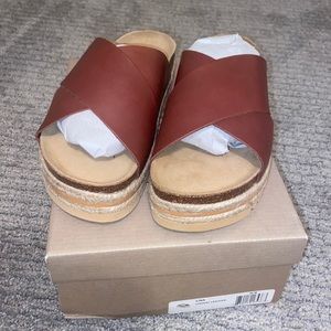 BRAND NEW CHOCOLATE BLU’s